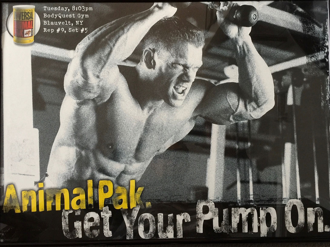 aa35d5_6f4c6415a37b46738ea4f476df31011c~mv2